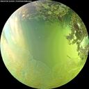 ./images/calvert/underwater/20260704/underwater20260704_161001M.jpg