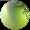./images/calvert/underwater/20260704/underwater20260704_161501M.jpg