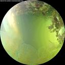 ./images/calvert/underwater/20260704/underwater20260704_162001M.jpg