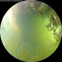 ./images/calvert/underwater/20260704/underwater20260704_164002M.jpg
