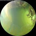 ./images/calvert/underwater/20260704/underwater20260704_164501M.jpg