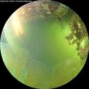 ./images/calvert/underwater/20260704/underwater20260704_170501M.jpg