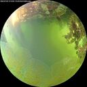 ./images/calvert/underwater/20260704/underwater20260704_171501M.jpg