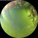 ./images/calvert/underwater/20260704/underwater20260704_172002M.jpg