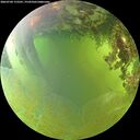 ./images/calvert/underwater/20260704/underwater20260704_172501M.jpg