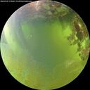 ./images/calvert/underwater/20260704/underwater20260704_173002M.jpg