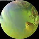 ./images/calvert/underwater/20260704/underwater20260704_175501M.jpg