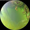 ./images/calvert/underwater/20260704/underwater20260704_180508M.jpg