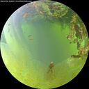 ./images/calvert/underwater/20260704/underwater20260704_182001M.jpg