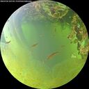 ./images/calvert/underwater/20260704/underwater20260704_182724M.jpg