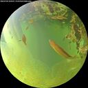 ./images/calvert/underwater/20260704/underwater20260704_184501M.jpg