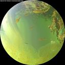 ./images/calvert/underwater/20260704/underwater20260704_190501M.jpg