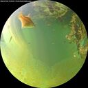 ./images/calvert/underwater/20260704/underwater20260704_192501M.jpg
