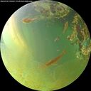 ./images/calvert/underwater/20260704/underwater20260704_195001M.jpg