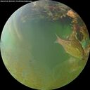 ./images/calvert/underwater/20260704/underwater20260704_205502M.jpg