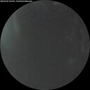 ./images/calvert/underwater/20260704/underwater20260704_223501M.jpg