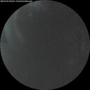 ./images/calvert/underwater/20260705/underwater20260705_043501M.jpg