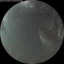 ./images/calvert/underwater/20260705/underwater20260705_045002M.jpg
