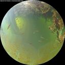 ./images/calvert/underwater/20260705/underwater20260705_070501M.jpg