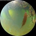 ./images/calvert/underwater/20260705/underwater20260705_071001M.jpg
