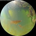 ./images/calvert/underwater/20260705/underwater20260705_072501M.jpg