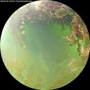 ./images/calvert/underwater/20260705/underwater20260705_102501M.jpg