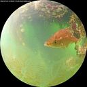 ./images/calvert/underwater/20260705/underwater20260705_113002M.jpg