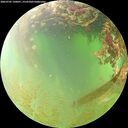 ./images/calvert/underwater/20260705/underwater20260705_120001M.jpg