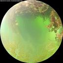 ./images/calvert/underwater/20260705/underwater20260705_122501M.jpg