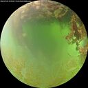 ./images/calvert/underwater/20260705/underwater20260705_123502M.jpg