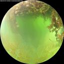 ./images/calvert/underwater/20260705/underwater20260705_124501M.jpg