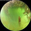 ./images/calvert/underwater/20260705/underwater20260705_125002M.jpg