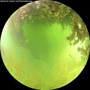 ./images/calvert/underwater/20260705/underwater20260705_130501M.jpg