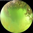 ./images/calvert/underwater/20260705/underwater20260705_131001M.jpg