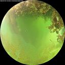 ./images/calvert/underwater/20260705/underwater20260705_131502M.jpg