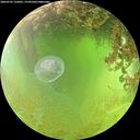 ./images/calvert/underwater/20260705/underwater20260705_132001M.jpg