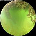 ./images/calvert/underwater/20260705/underwater20260705_132501M.jpg