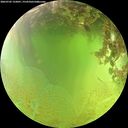 ./images/calvert/underwater/20260705/underwater20260705_133001M.jpg