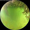./images/calvert/underwater/20260705/underwater20260705_133501M.jpg