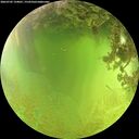./images/calvert/underwater/20260705/underwater20260705_134001M.jpg
