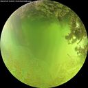 ./images/calvert/underwater/20260705/underwater20260705_134501M.jpg