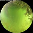 ./images/calvert/underwater/20260705/underwater20260705_135001M.jpg