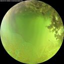 ./images/calvert/underwater/20260705/underwater20260705_140002M.jpg