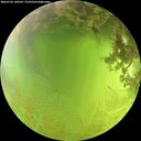 ./images/calvert/underwater/20260705/underwater20260705_140501M.jpg