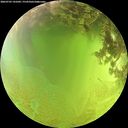 ./images/calvert/underwater/20260705/underwater20260705_141001M.jpg