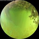 ./images/calvert/underwater/20260705/underwater20260705_141501M.jpg