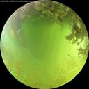 ./images/calvert/underwater/20260705/underwater20260705_142001M.jpg