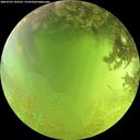 ./images/calvert/underwater/20260705/underwater20260705_142501M.jpg