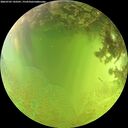 ./images/calvert/underwater/20260705/underwater20260705_143501M.jpg