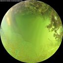 ./images/calvert/underwater/20260705/underwater20260705_144501M.jpg
